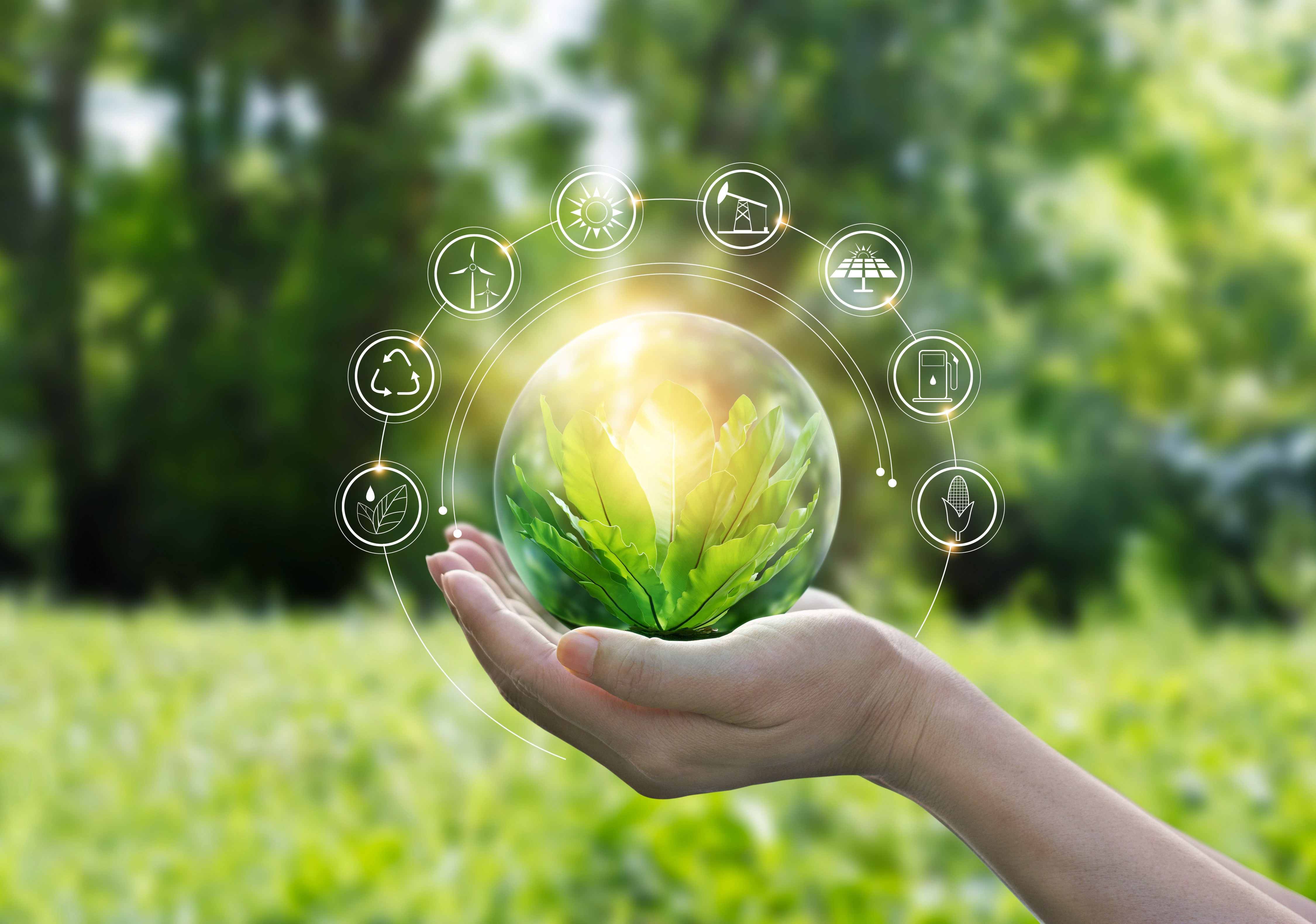 Hands,Protecting,Globe,Of,Green,Tree,On,Tropical,Nature,Summer IT-Sourcing in Unternehmen